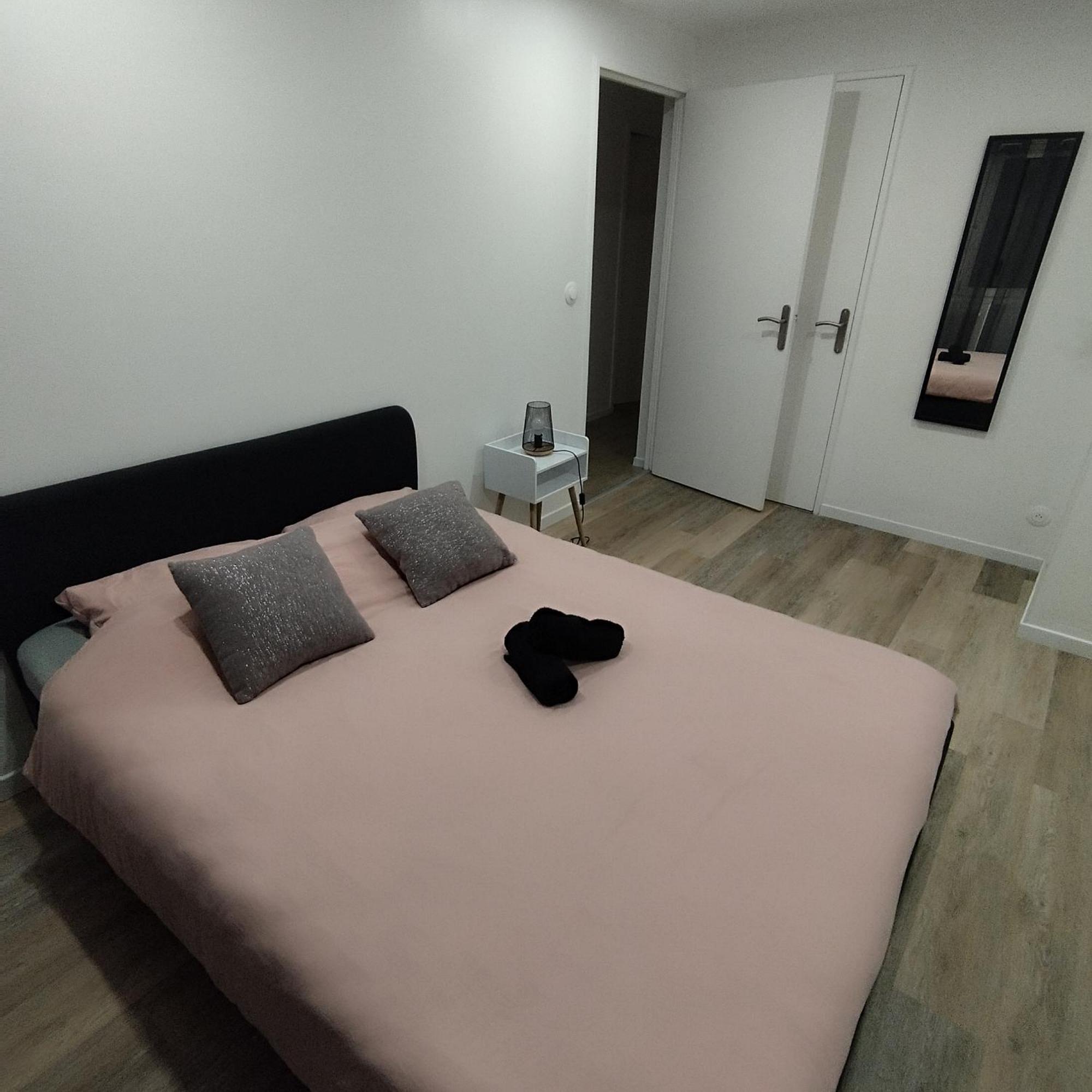 סן-אטיין Superbe Appartement ! מראה חיצוני תמונה