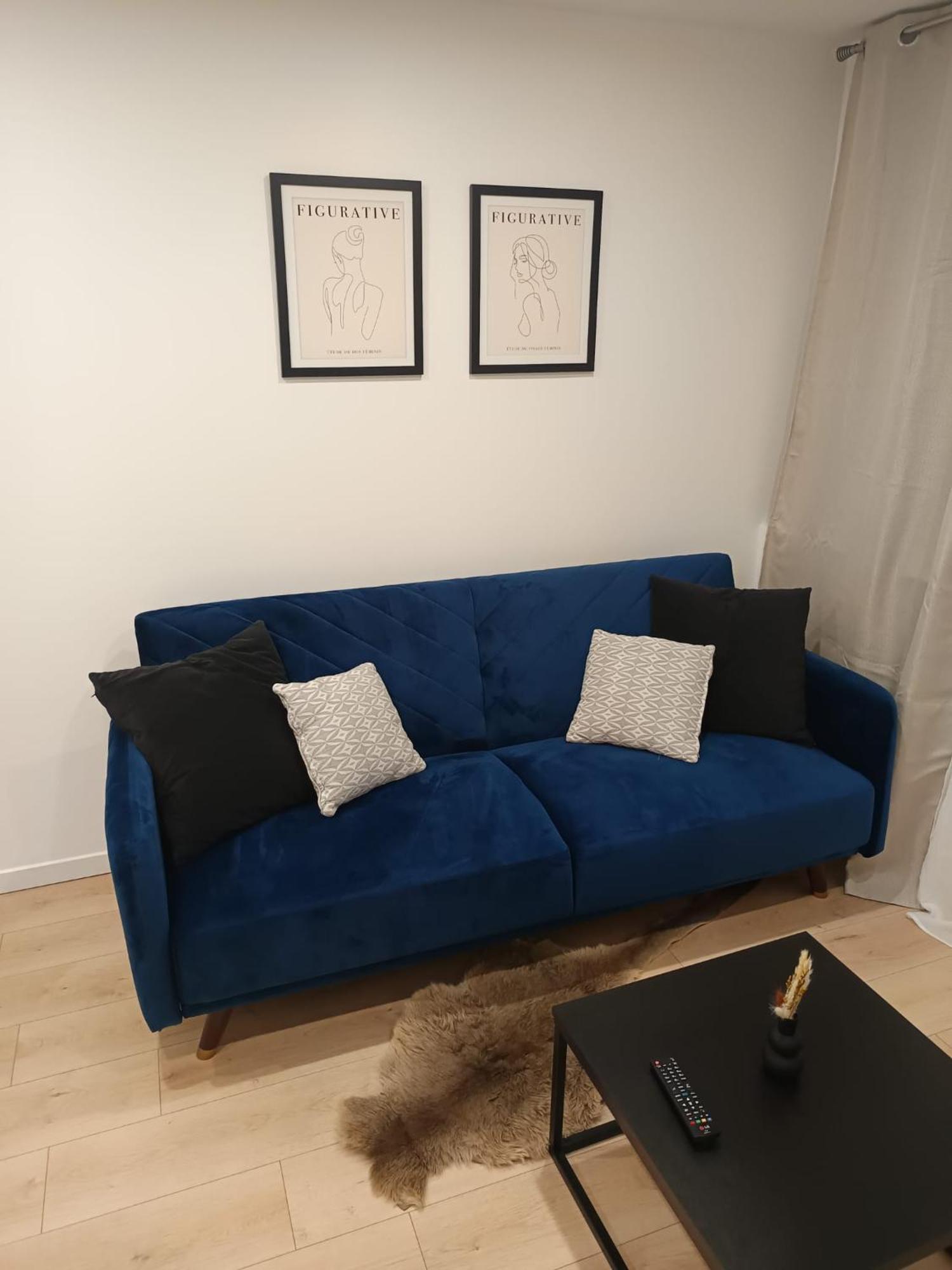 סן-אטיין Superbe Appartement ! מראה חיצוני תמונה