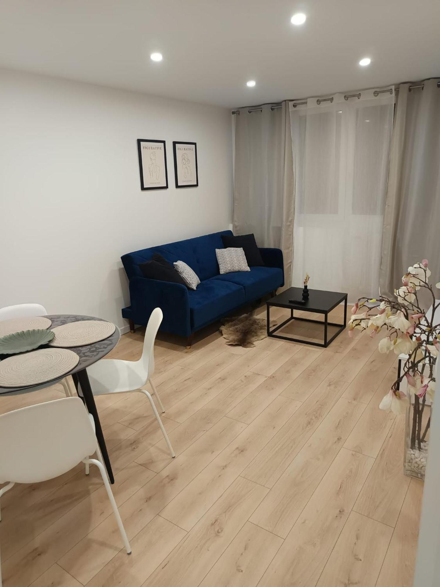 סן-אטיין Superbe Appartement ! מראה חיצוני תמונה